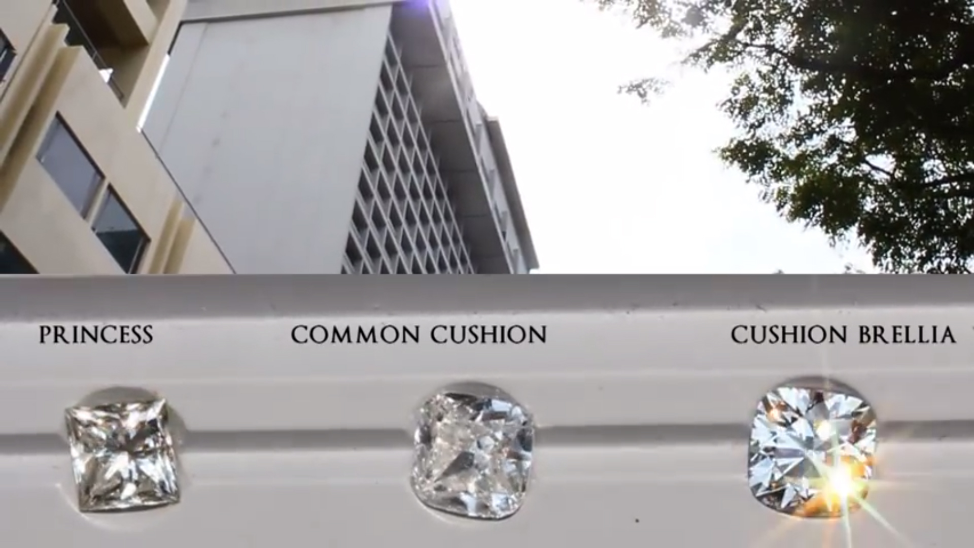 JannPaul: Daylight Analysis of the Common Princess Cut, Common Cushion Cut and Cushion Brellia 